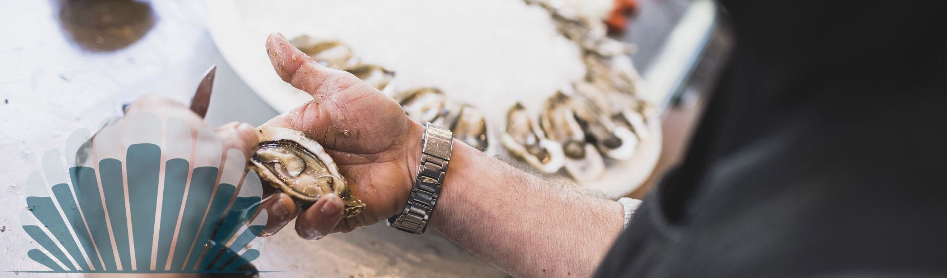 Moule La Bouilladisse (13720)