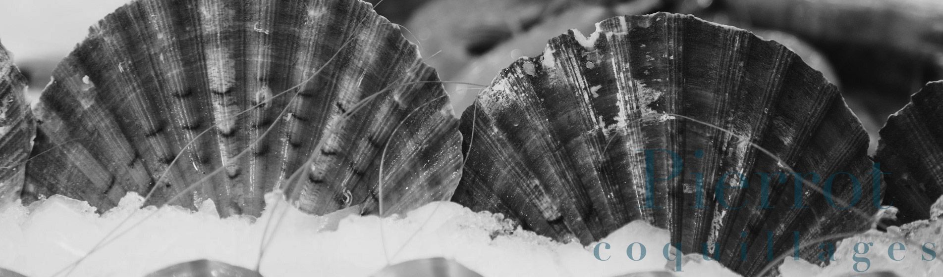 Restaurant moule ouvert dimanche