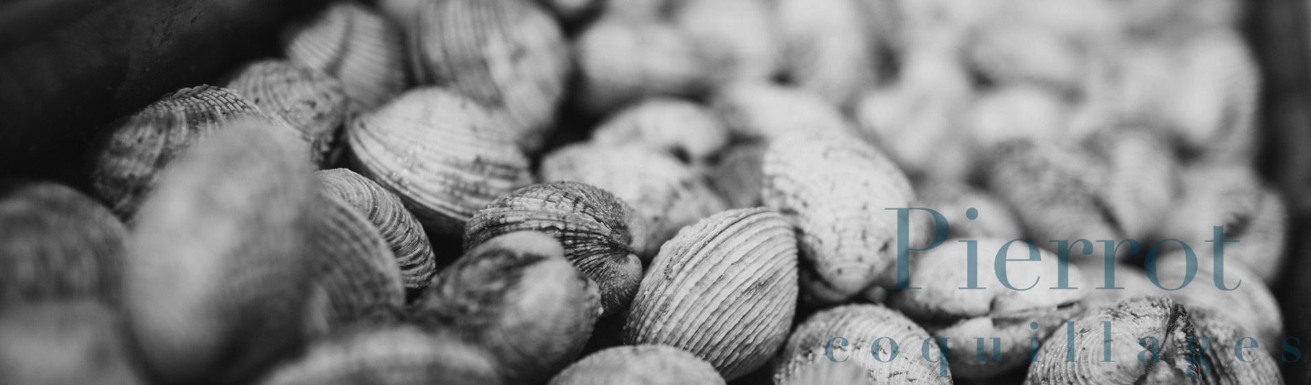 Moule Riboux (13780)