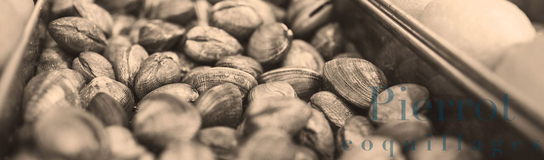 Moule Ceyreste (13600)