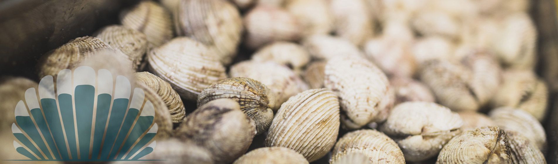 Restaurant moule ouvert dimanche