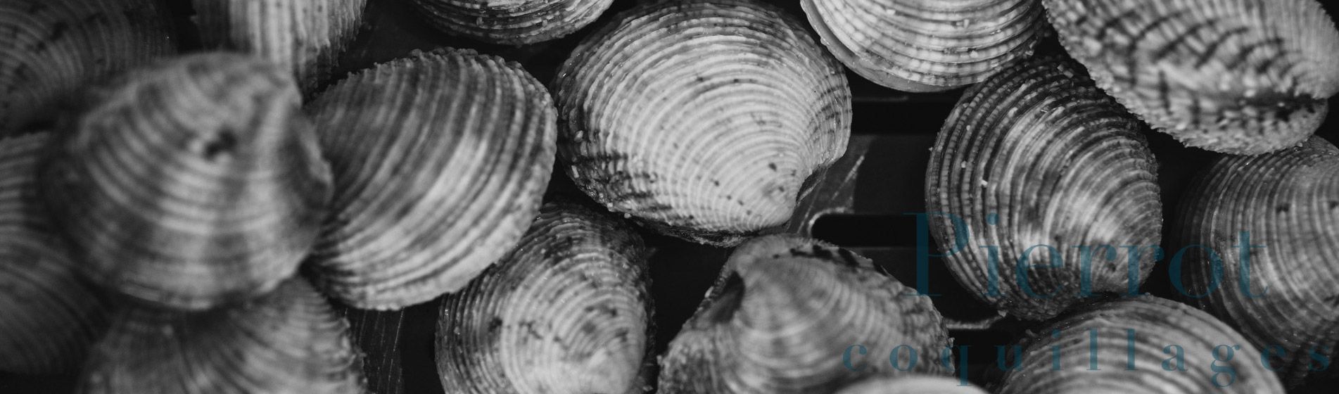 Restaurant moule ouvert dimanche