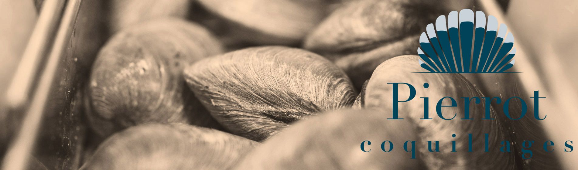 Deguster oursin carry