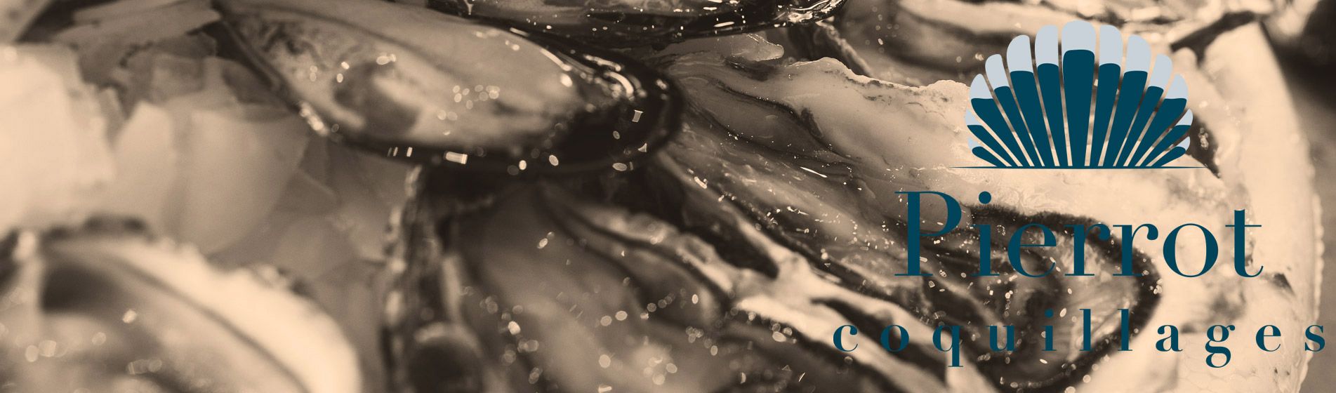 Meilleur oursin galice