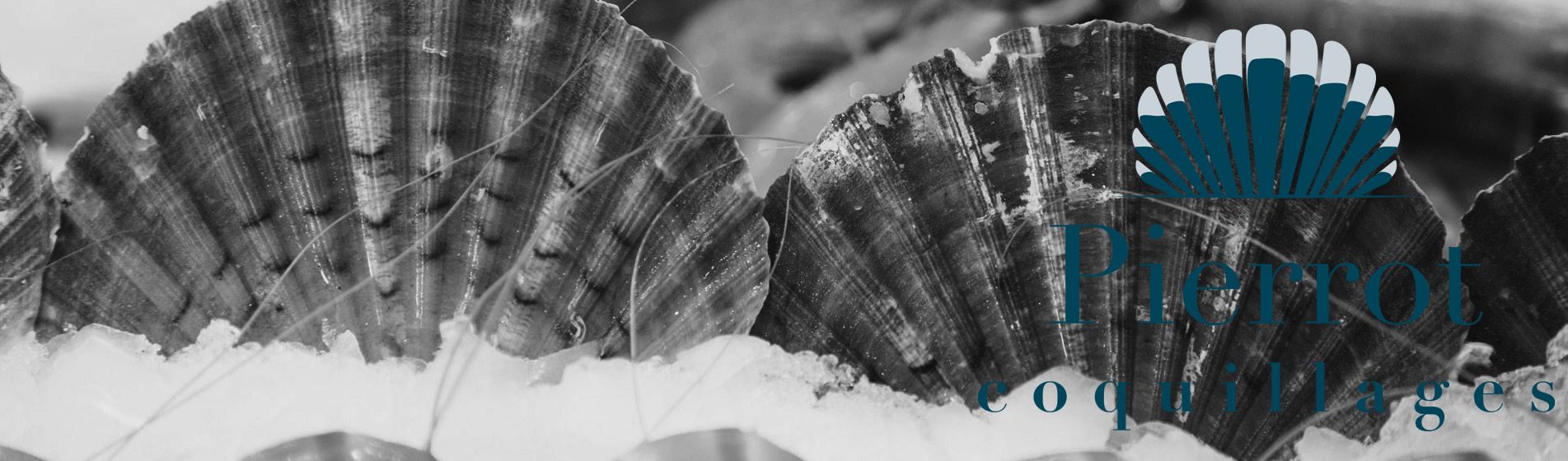 Deguster oursin carry