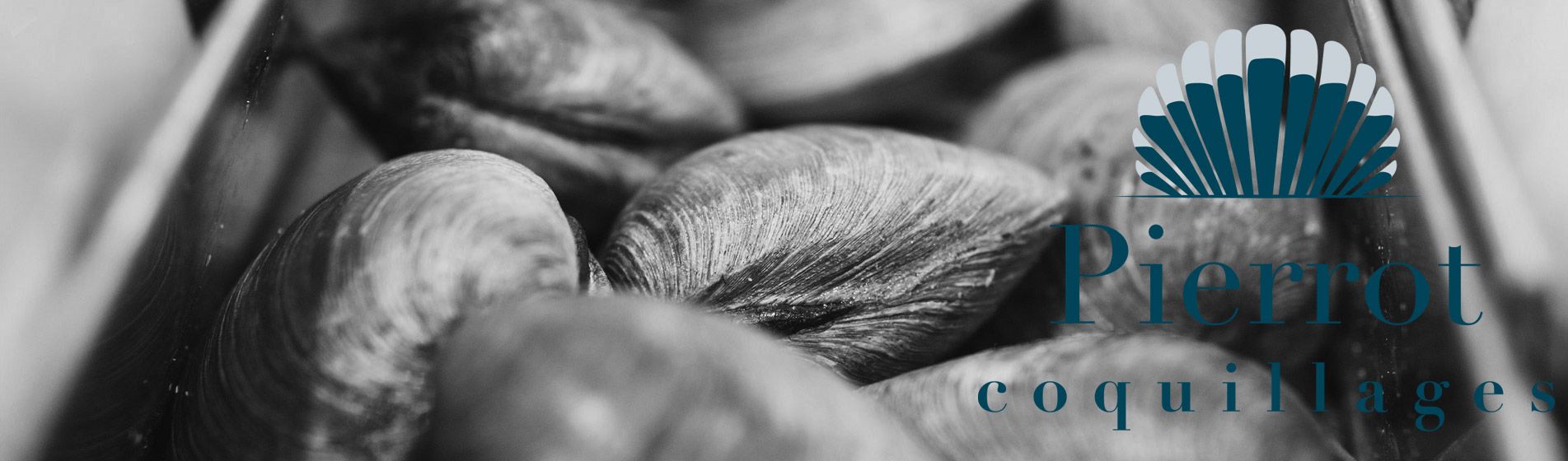 Degustation oursinade