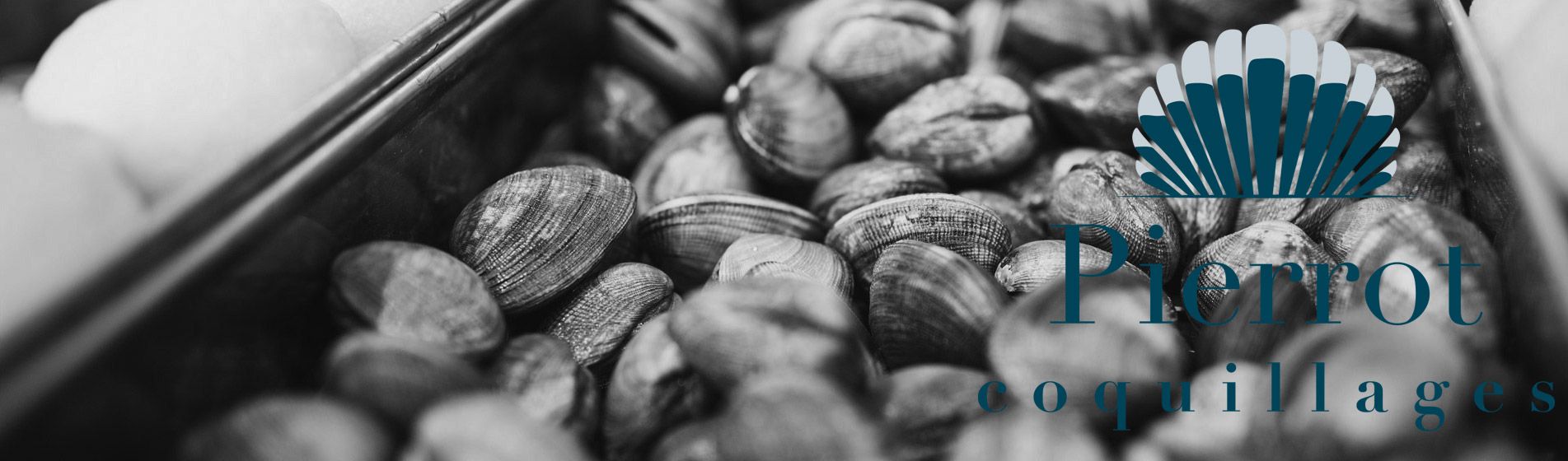 Degustation oursinade