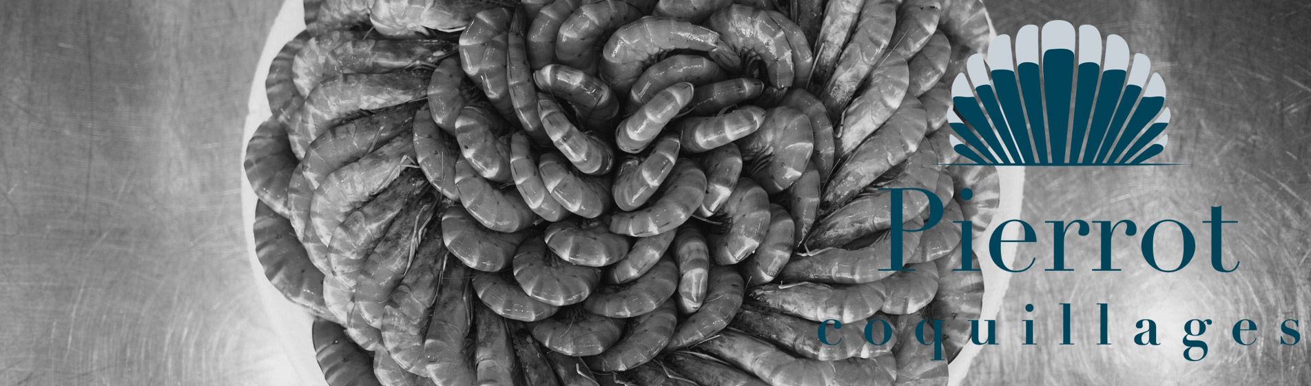 Degustation oursinade