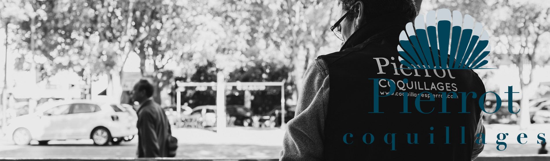 Degustation oursinade