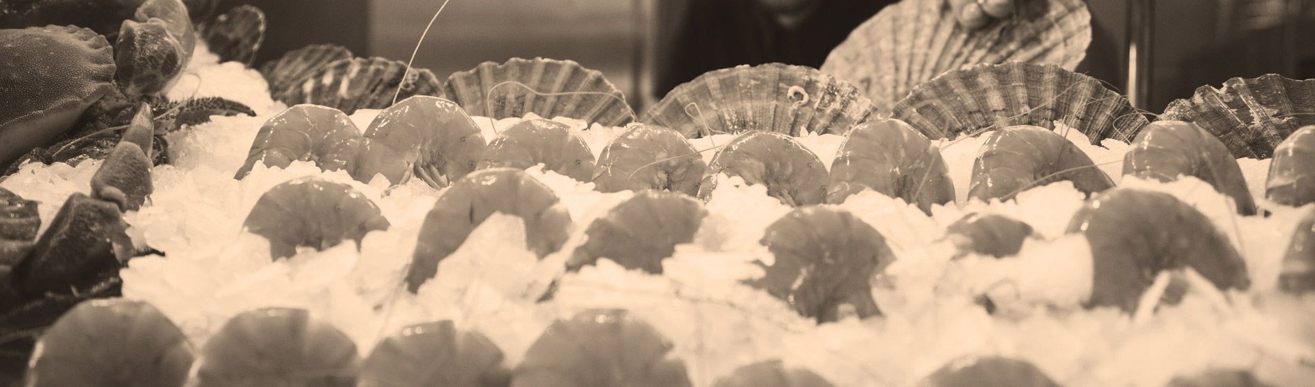 Oursinade Port-De-Bouc (13110)