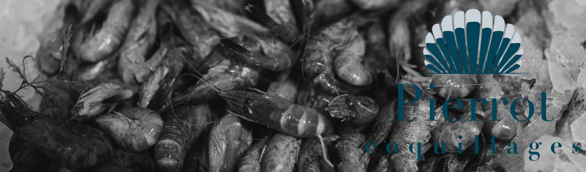 Degustation oursinade Carry-Le-Rouet (13620)