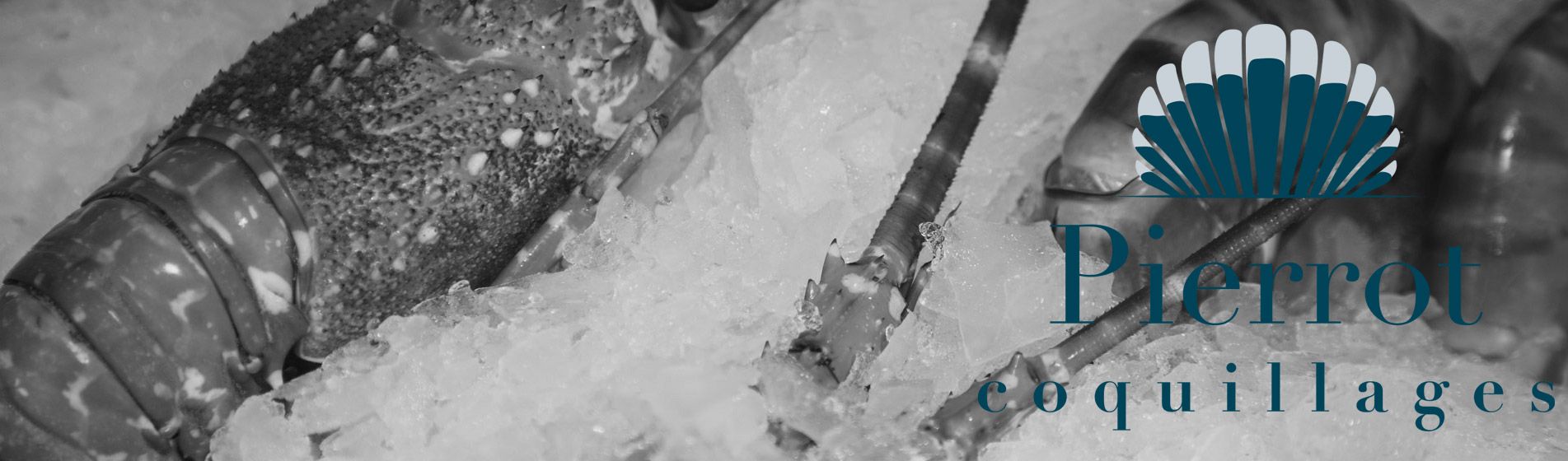 Degustation oursinade