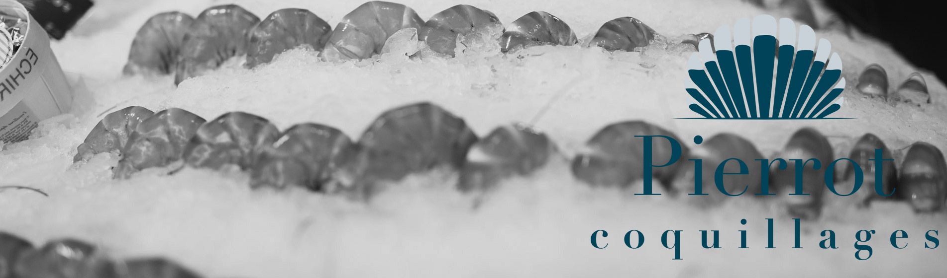 Oursinade Carry-Le-Rouet (13620)