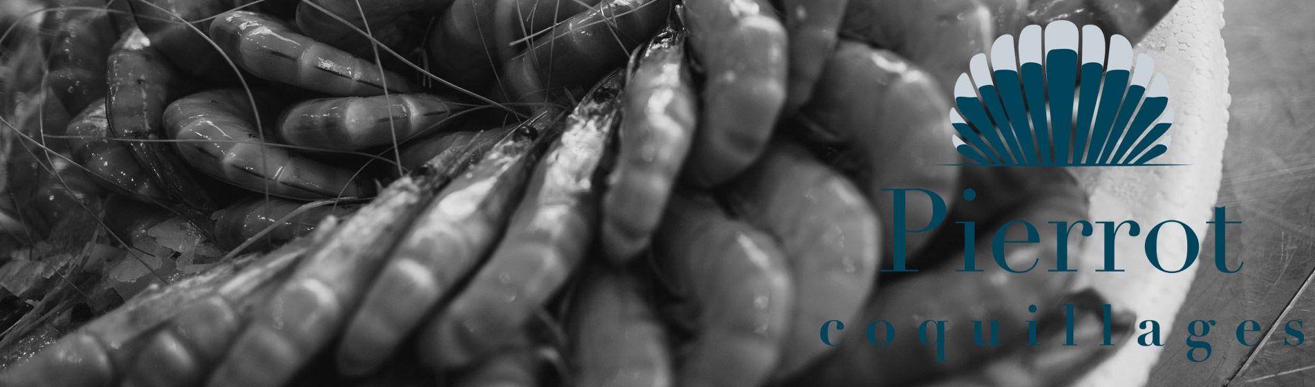 Degustation oursinade