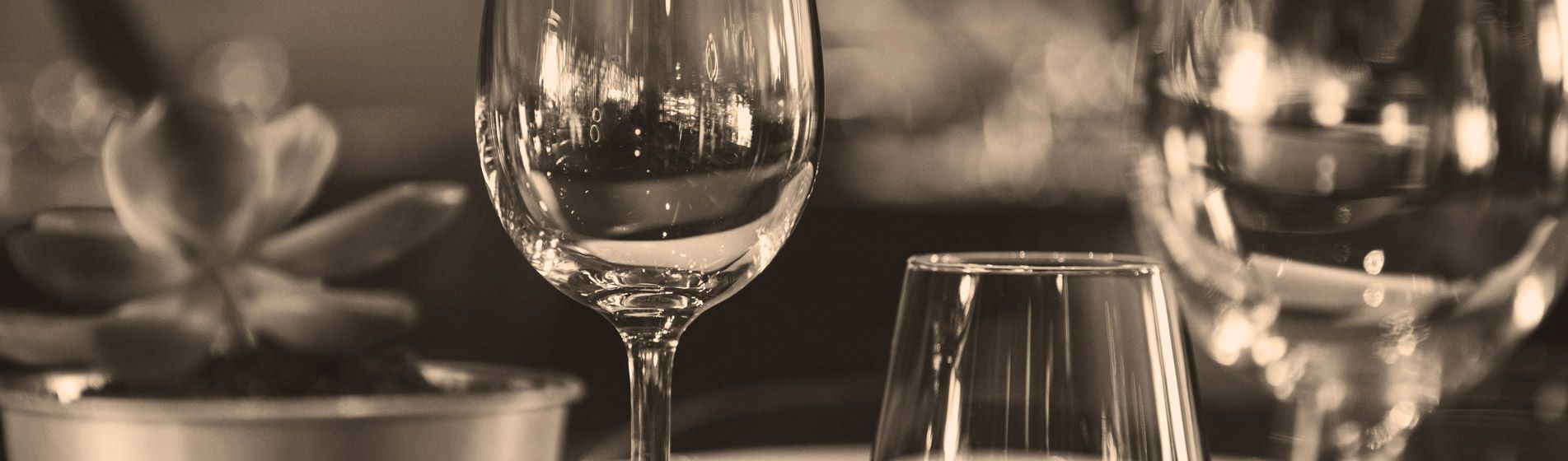 Deguster oursinade Aix-En-Provence (13080)