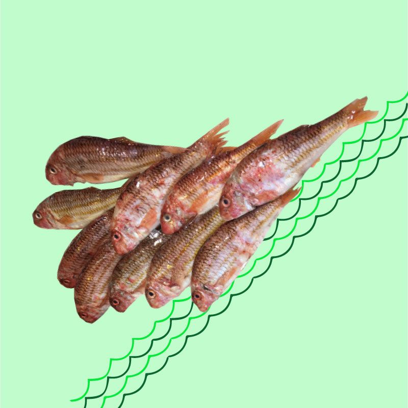 Resto poisson ouvert dimanche