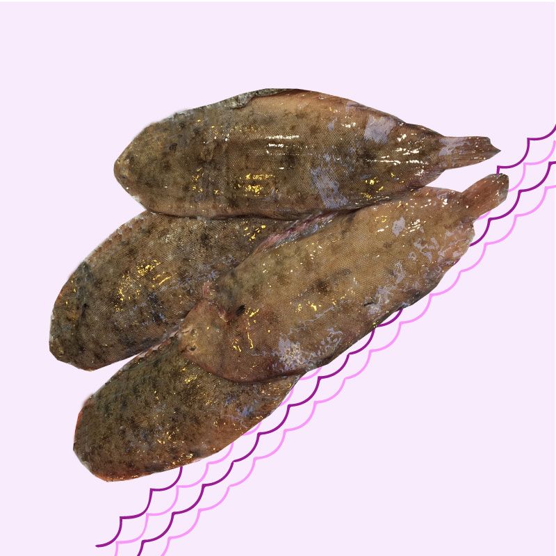 Meilleur poisson proximite